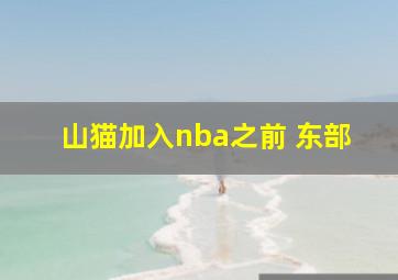 山猫加入nba之前 东部